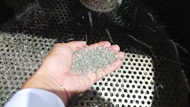 再生樹脂ペレット　ストレッチフィルム