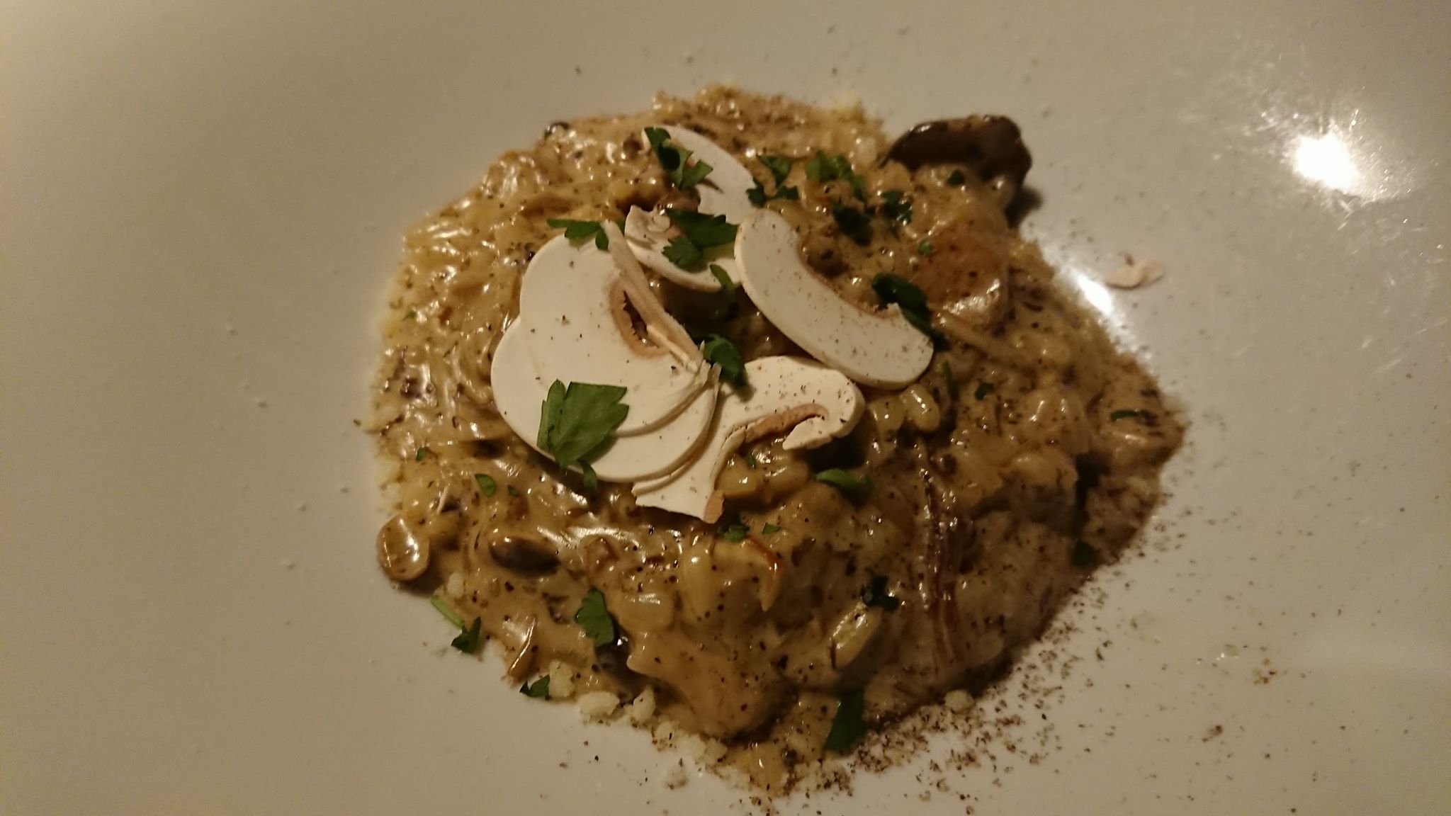 ラッテリア　べべ　カマクラ