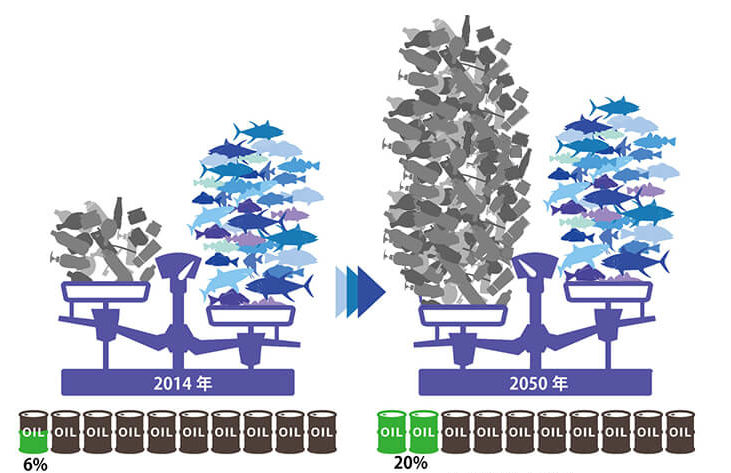 プラスチックゴミと魚の重量の比較