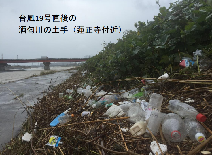 台風19号直後の酒匂川の土手(蓮生寺付近)