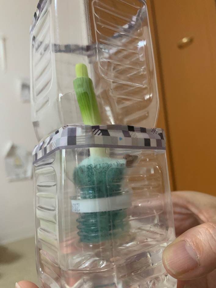 苗をスポンジに巻き付けて飲み口にセットした画像(横からの撮影)