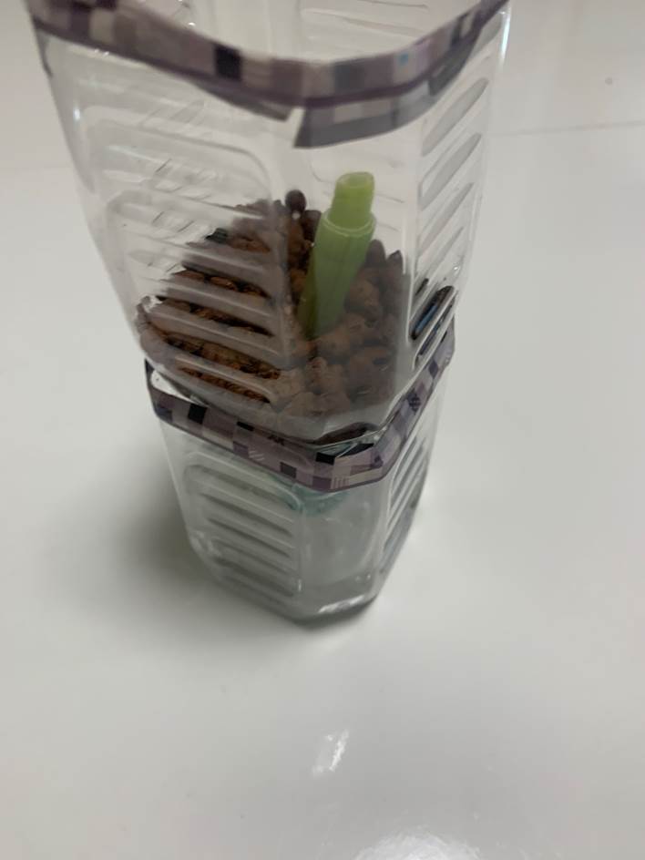 根っこがつかるように、ペットボトルプランターの下の部分に水と液体肥料を入れます。