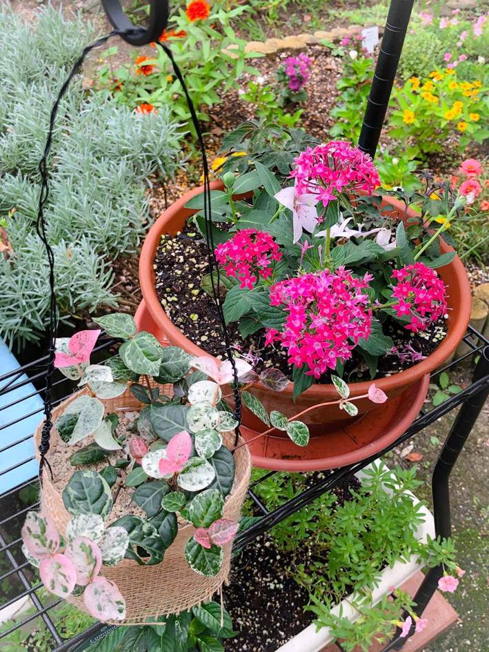 ハンギングプランターの作り方