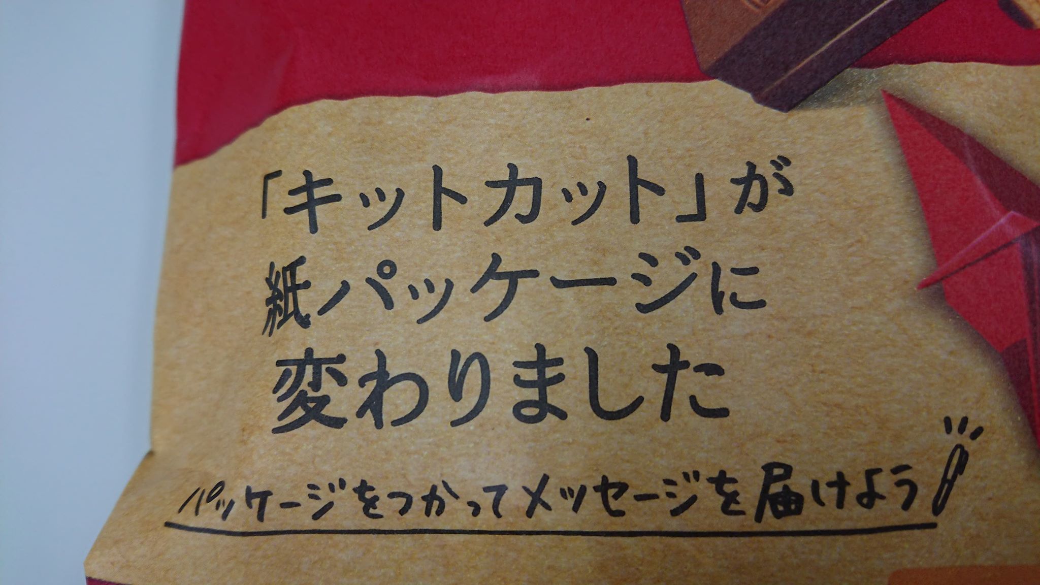 海洋プラスチックごみ問題