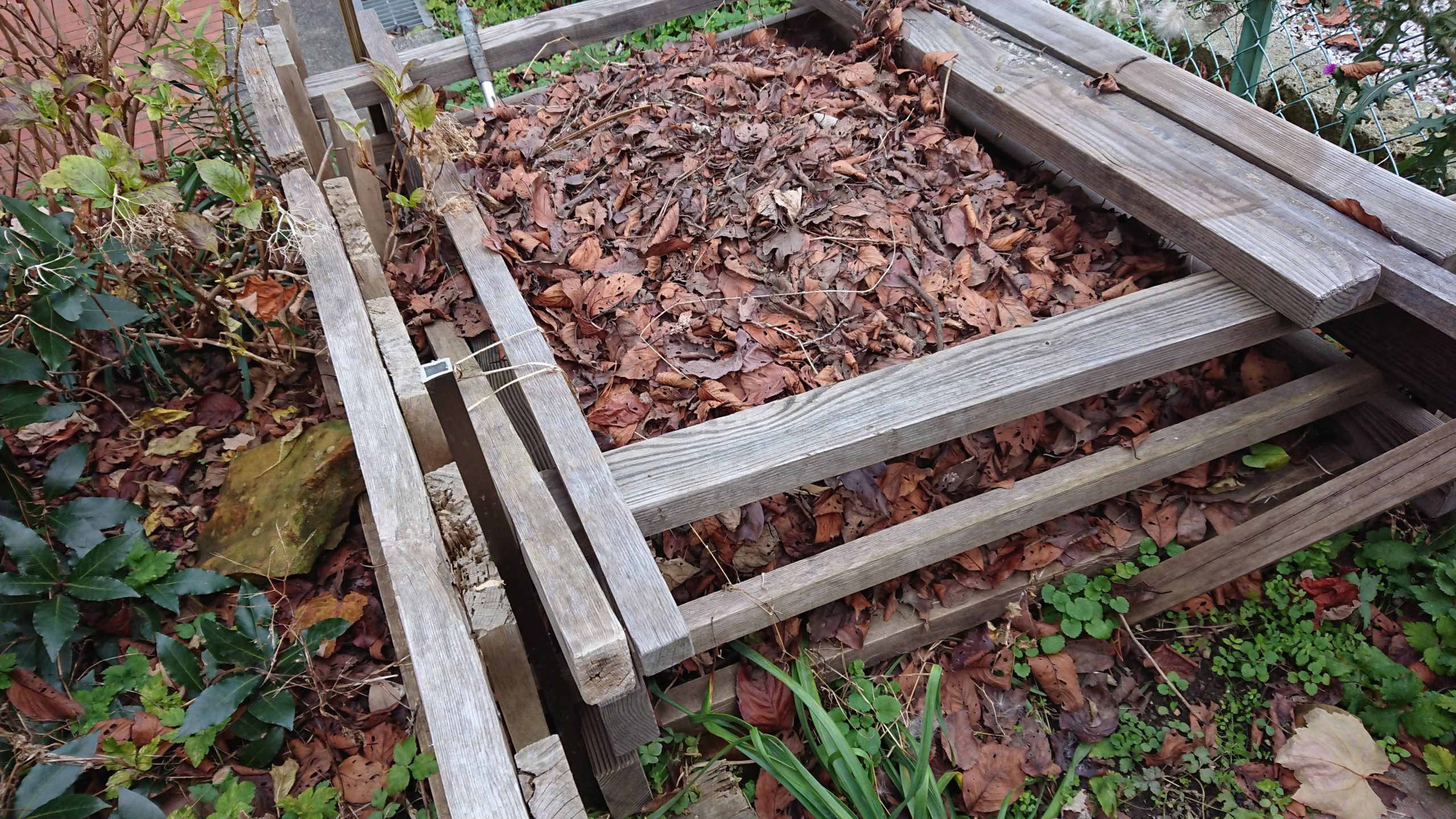 落ち葉でたい肥